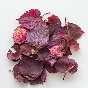 red raspberry leave pregnancy tea
